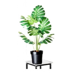 Hojas Artificiales Costilla Adn 70x30cm Flores Plantas