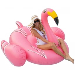 Inflable Piscina Cisne Flamingo Flamenco Floties 170x130cm